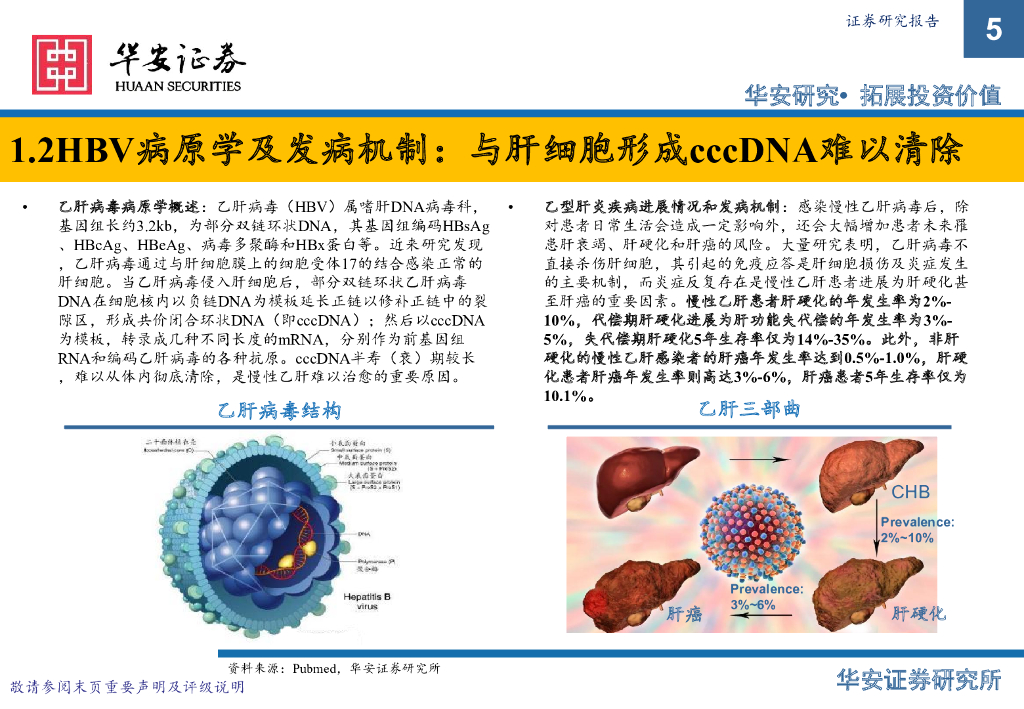 乙肝最新药物，治疗的新希望与新突破