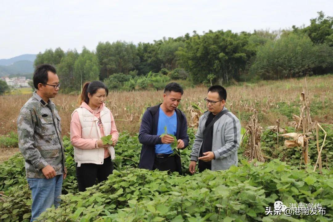 最新种植牙技术，重塑笑容的神奇力量