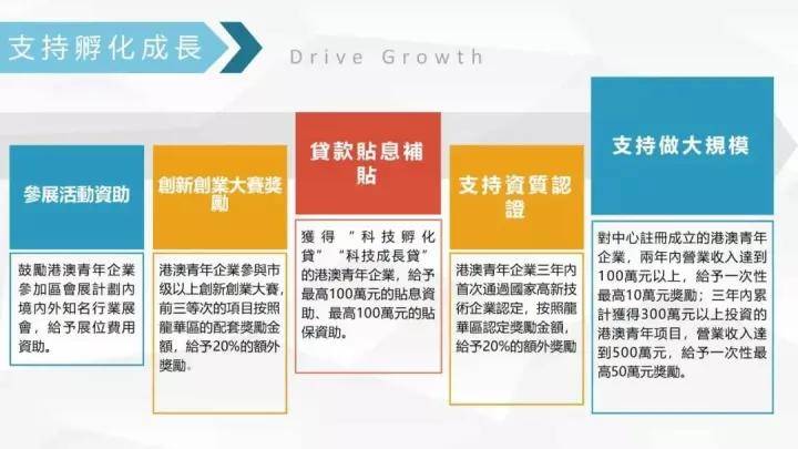 澳门精准正版解析与落实策略，未来之路的探索与解析