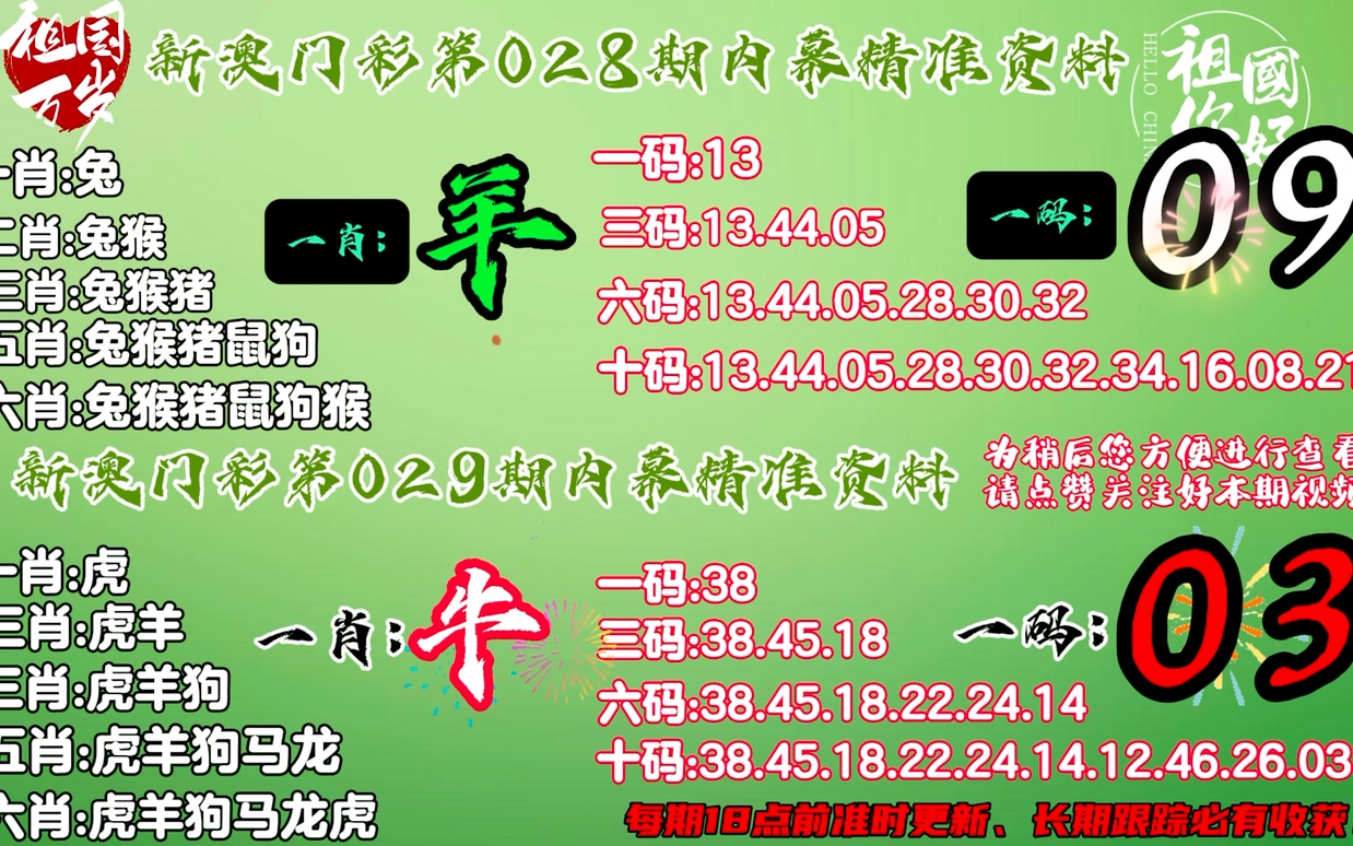 一肖一码，深度解析与精准落实的探寻之旅