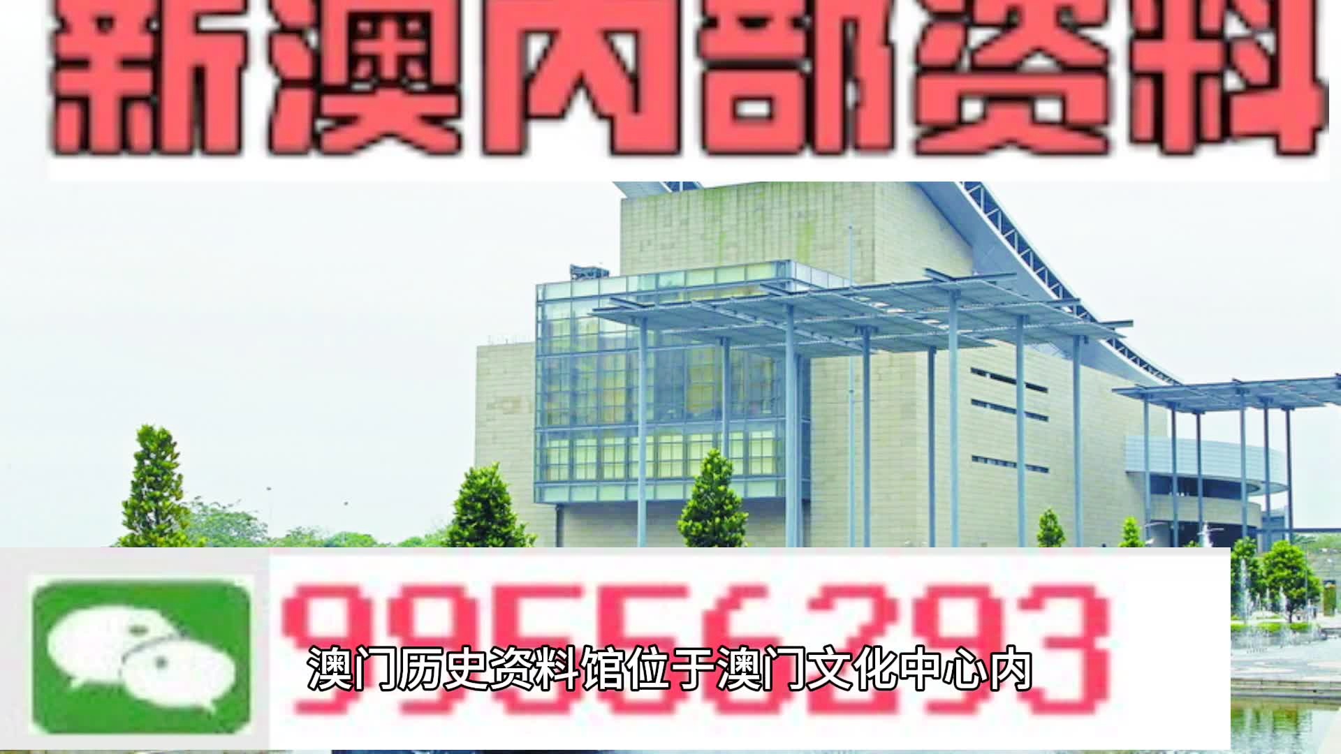 新澳2024今晚王中王免费资料解析与精选落实策略