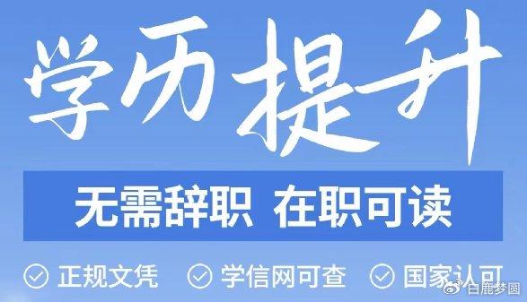 新奥十点半正版免费资料大全|精选解释解析落实,新奥十点半正版免费资料大全，精选解释解析落实