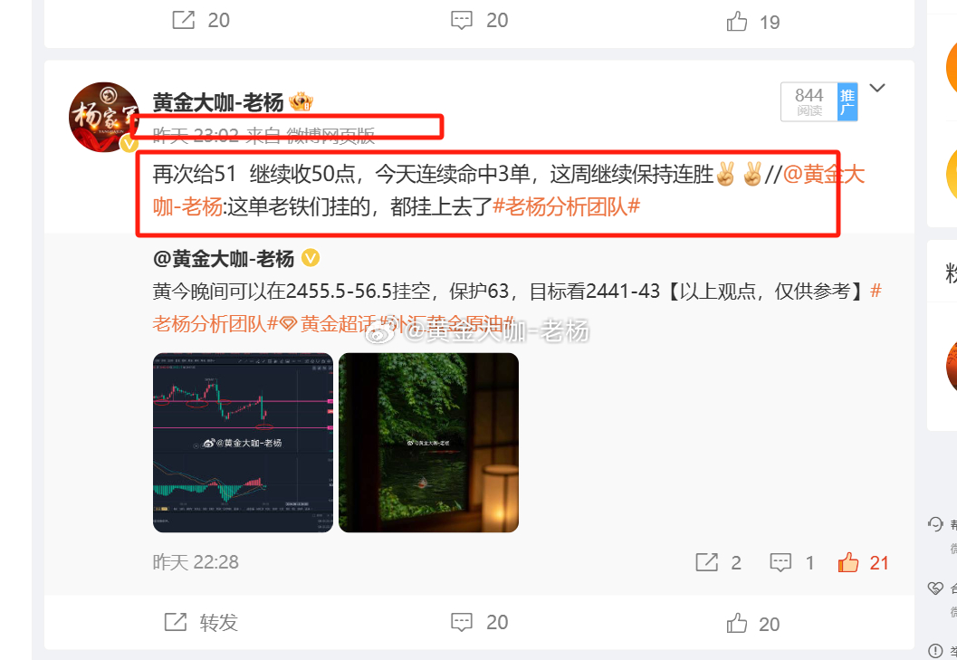 100%一肖一码100%精准|精选解释解析落实,揭秘一肖一码，精准预测背后的秘密与解析落实之道