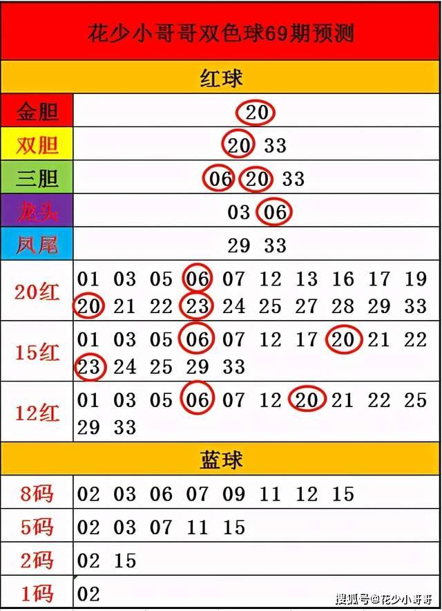 新澳门开奖现场 开奖结果|精选解释解析落实,新澳门开奖现场，开奖结果解析与精选解释