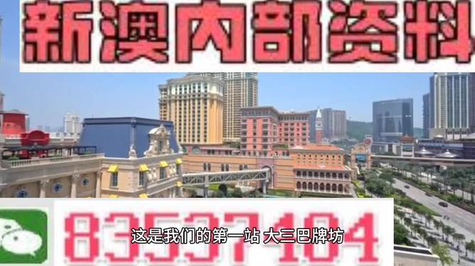 2024新澳正版免费资料的特点|精选解释解析落实,关于新澳正版免费资料的解析与特点，深入解析与落实精选资料