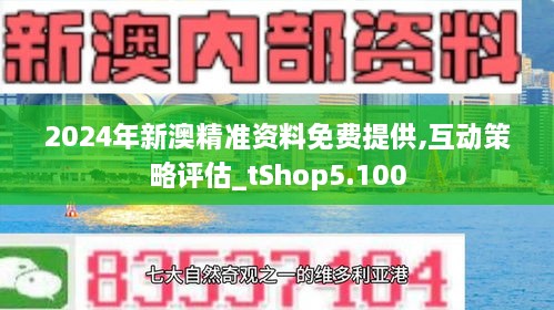 新澳2024正版免费资料|精选解释解析落实,新澳2024正版免费资料，精选解释解析落实的重要性与策略