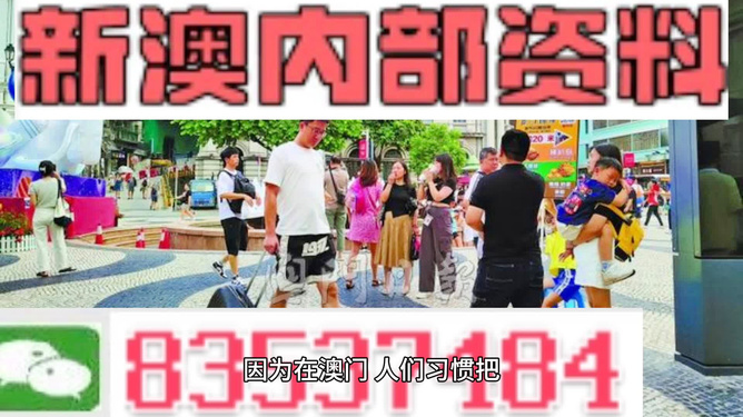 2024澳门最精准资料免费|精选解释解析落实,澳门精准资料解析与落实策略探讨