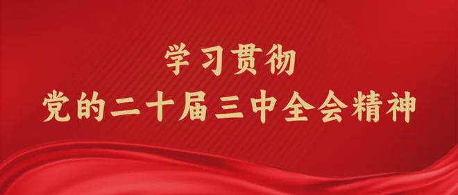 2024新澳门正版资料免费大全,福彩公益网|精选解释解析落实,探索福彩公益网，解析新澳门正版资料大全与公益事业的落实