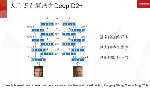 49图库资料大全图片|精选解释解析落实,探索49图库资料大全图片，精选、解释、解析与落实