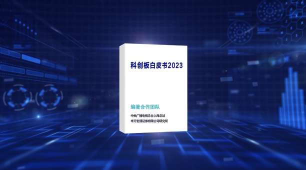 2023年香港 六 合 资料总站|精选解释解析落实,探索香港六合资料总站，精选解释解析与落实策略