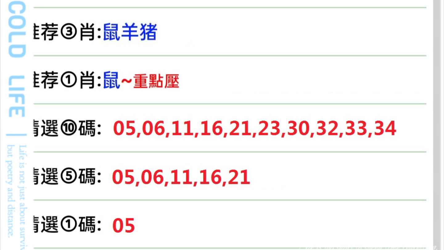 澳门六今晚开什么特马|精选解释解析落实,澳门六今晚开什么特马，解析与精选策略