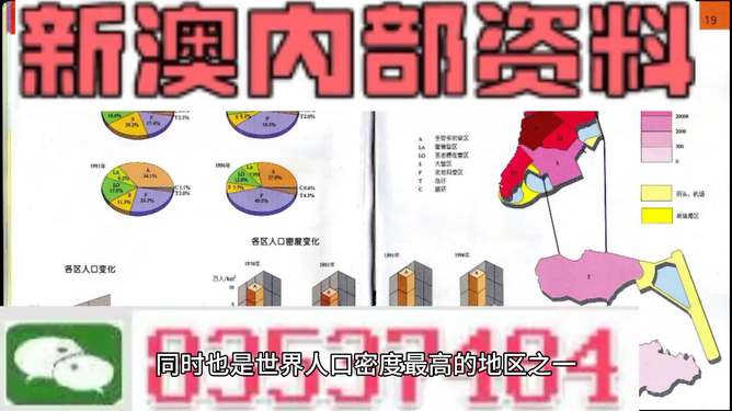 新澳门免费资料大全正版|精选解释解析落实,关于新澳门免费资料大全正版的探讨与解析