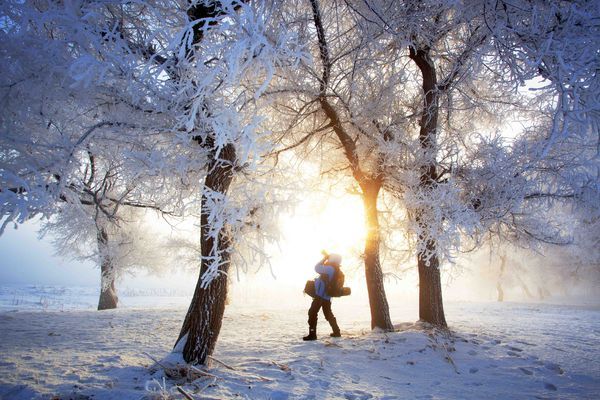 最新红雪,最新红雪，自然界的奇观与人类的探索